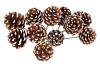 PICK NAT PINECONE NATURAL WHITE 50CM ASS P/12