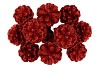 PICK SHINE PINECONE NAT RED GLITTER 50CM ASS P/12