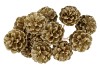 PICK SHINE PINECONE NAT GOLD GLITTER 50CM ASS P/12