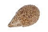 HEDGEHOG GLAZE BROWN 16X9X8CM