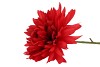 SILK DAHLIA POINTY FIERY RED 65CM NM