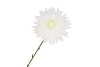 SILK DAHLIA POINTY WHITE 65CM NM