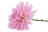 SILK DAHLIA POINTY LIGHT PURPLE 65CM