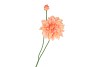 SILK DAHLIA SPIKE ORANGE 78CM NM