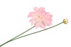 SILK DAHLIA SPIKE WHITE/LIGHT PINK 78CM