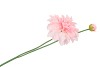 SILK DAHLIA SPIKE LIGHT PINK 78CM