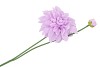 SILK DAHLIA SPIKE LIGHT PURPLE 78CM