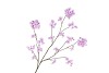 SILK CHERRY BLOSSOM LIGHT PURPLE 126CM NM