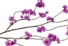 SILK CHERRY BLOSSOM DARK PURPLE 126CM