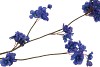 SILK CHERRY BLOSSOM BLUE 85CM NM