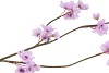 SILK CHERRY BLOSSOM LIGHT PURPLE 85CM NM