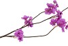 SILK CHERRY BLOSSOM DARK PURPLE 85CM NM