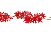 SILK WISTERIA FIERY RED 93CM NM