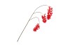 SILK WISTERIA FIERY RED 93CM