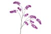 SILK WISTERIA PURPLE 130CM NM