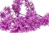 SILK WISTERIA PURPLE 130CM NM