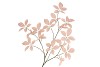 SILK LEAF ELDER CHAMPAGNE 124CM NM