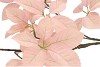 SILK LEAF ELDER CHAMPAGNE 124CM NM