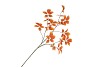 SILK LEAF ELDER ORANGE 124CM