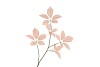 SILK LEAF ELDER CHAMPAGNE 81CM NM