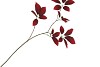 SILK LEAF ELDER DARK RED 81CM