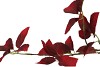 SILK LEAF ELDER DARK RED 81CM