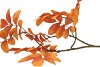 SILK LEAF ROWAN ORANGE 71CM