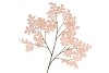 SILK LEAF ROWAN CHAMPAGNE 125CM NM