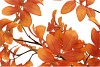 SILK LEAF ROWAN ORANGE 125CM