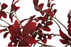 SILK LEAF ROWAN DARK RED 125CM