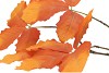 SILK LEAF CHESTNUT ORANGE 79CM