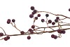 SILK BERRY BRANCHED PURPLE 93CM NM