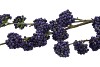 SILK BERRY CALLICARPA BLUE 130CM NM