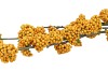 SILK BERRY CALLICARPA YELLOW 130CM NM