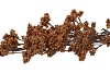 SILK BERRY SPICE DARK BROWN 108CM NM