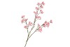 SILK BERRY SPICE LIGHT PINK 108CM NM