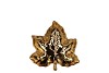 LEAF MAPLE PLATE GOLD 11X11X3CM