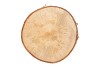 NATURE BIRCH SLICES ROUND D27-31CM X 3 CM