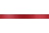 RIBBON SATIN 21 BORDEAUX 100MX40MM P/1 2025