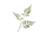 SILK FERN FOREST GREEN 87CM