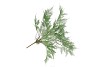 SILK FERN ASPARAGUS DARK GREEN 77CM