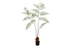 SILK FERN POLYSTICHUM IN POT GREEN 158CM