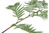 SILK FERN POLYSTICHUM GREEN 138CM