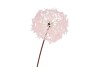 SILK DANDELION PINK 91CM