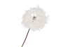 SILK DANDELION WHITE 91CM