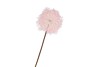 SILK DANDELION PINK 65CM