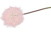 SILK DANDELION PINK 65CM