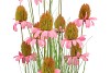 SILK COSMOS GRASS PINK 120CM NM