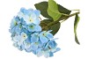 SILK HYDRANGEA BLUE 23X64CM