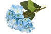 SILK HYDRANGEA BLUE 14X45CM